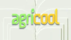 Ce plante să creștem în casă în perioada rece a anului - Agricool 28.02.2026 Ce plante să creștem în casă în perioada rece a anului - Agricool 28.02.2026