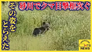 北海道砂川市でクマの目撃相次ぐ　その姿をカメラがとらえた　猟友会のパトロール続く