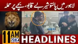 Pet Lion Attacked 8 Years Old Boy | Karachi Weather Updates | 11AM Headlines | GTV News