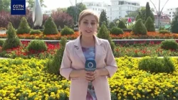 The "Smart City" digital platform and feedback service is operating in the capital of Tajikistan