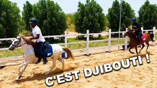 C’est Djibouti ! 🇩🇯 | Faras Agro-Tourisme à Douda