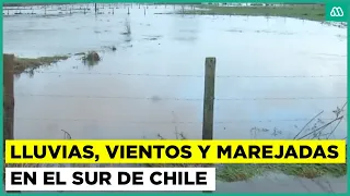 Preventive red alert due to Pichilo River overflow in Arauco commune