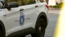 DPD puts 2 high-ranking officers on leave for violating department policies