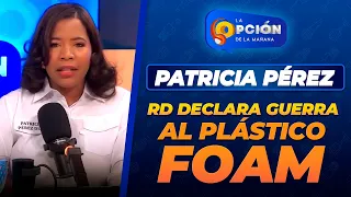 Dominican Republic bans foam: A crucial step to combat plastic pollution