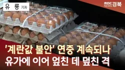 '계란값 불안' 연중 계속되나..유가에 이어 엎친 데 덮친 격 / 안동MBC