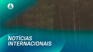 Papa pede orações por vítimas de incêndios que devastam Europa | TJ Aparecida