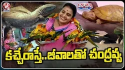 Chandravva Explorers Ecological Park (Kacche Raaste), A Haven For Animals And Birds | V6 Chandravva Explorers Ecological Park (Kacche Raaste), A Haven For Animals And Birds | V6