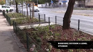 BP13 kerületi magazin 2026 09 30