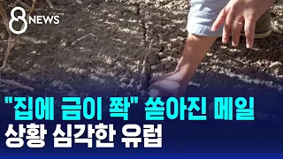 "Cracks all over the house" and a flood of emails... The dire situation in Europe / SBS 8 News
