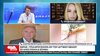 Έβρος: Τρία κρούσματα ιού του Δυτικού Νείλου σε Αλεξ/πολη & Σουφλί