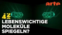 Was, wenn das LEBEN SPIEGELVERKEHRT wäre? | 42 - Die Antwort auf fast alles | ARTE