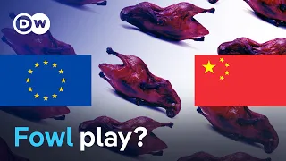 EU targets Peking Duck in dumping probe | DW News