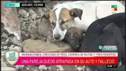 ?TUCUMÁN:  INUNDACIONES, CRECIDA DE RÍOS, CIERRES DE RUTAS Y TRES MUERTOS