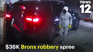 Gun-wielding duo gets away with $36K worth of jewelry in robbery spree
