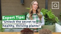 Почва против мульчи: эксперт по садоводству объясняет основные различия | My Garden Escape (QVC)