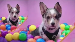 Your Good News: Karin, Chris, Jennifer