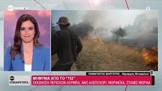Μαίνεται το πύρινο μέτωπο στα Μέγαρα - Παναγιώτης Μαργέτης, δήμαρχος Μεγαρέων
