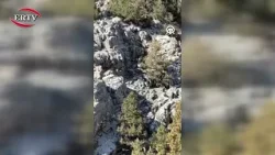 YABAN KEÇİLERİ GÖRÜLDÜ