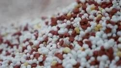 Senado aprova proposta de lei que estabelece novo marco legal para o trabalho no campo