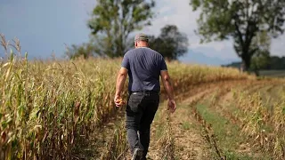Heatwaves to cost French growth 0.1 points this year