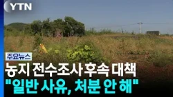 Ministry of Agriculture: "No Disposal for Minor Farmland Act Violations, but Speculation Will Be ...