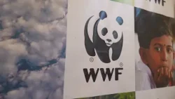 Cambiamento climatico, Wwf: “Serve un’economia sostenibile” - Canale 10