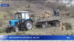 „Moldsilva” devine Î.S. „Pădurile Moldovei”