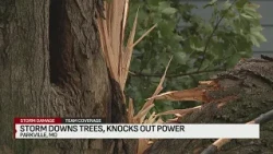 Storm downs trees, knocks out power in Parkville neighborhoods