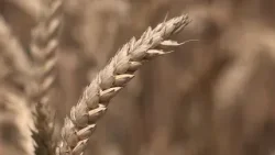 Megállapodás az egészséges életért