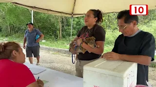 PET INSURANCE INTEREST GROWS IN QUINTANA ROO