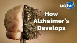 Alzheimer's and Other Neurodegenerative Diseases: From Mechanisms to (Faltering) Therapies