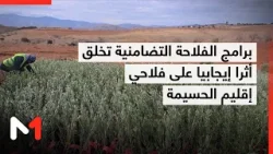 برامج الفلاحة التضامنية تخلق أثرا إيجابيا على فلاحي إقليم الحسيمة