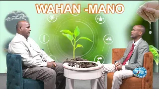 RTD: WAHAN-MANO 02/10/2026