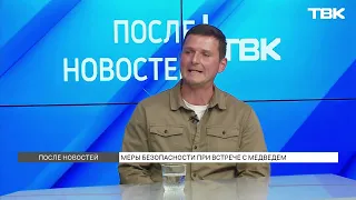 Медведи выходят к людям: как избежать опасной встречи / «После новостей»