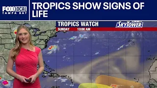 Tropics show signs of life