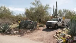 Landscape crews put up ‘No Trespassing’ signs outside Nancy Guthrie’s home Landscape crews put up ‘No Trespassing’ signs outside Nancy Guthrie’s home