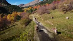 Imatge tardor 2025 RTVA