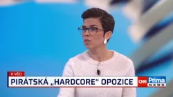 Odporné, nechutné a za hranou. Richterová kritizovala Rajchlovo chování ke kolegyním