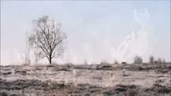 Winterse sfeer (Natuurlijk! 05-01-2026)