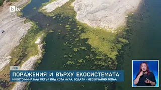 Експерти предупреждават: Продължителното маловодие може да промени екосистемата на Дунав
