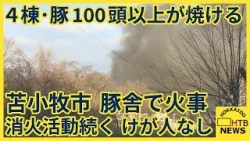「豚舎が燃えています…」苫小牧市樽前の養豚場で火事 豚舎4棟のほか豚少なくとも100頭焼ける 「豚舎が燃えています…」苫小牧市樽前の養豚場で火事 豚舎4棟のほか豚少なくとも100頭焼ける