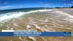 Advisory issued after high bacteria levels detected in Pokai Bay Advisory issued after high bacteria levels detected in Pokai Bay
