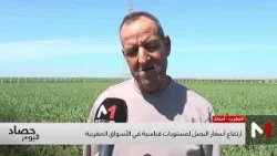 ارتفاع سعر البصل في الأسواق المغربية.. الأسباب والعوامل