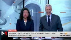 Naissance de la première girafe au Maroc dans le parc zoologique "Dream Village"