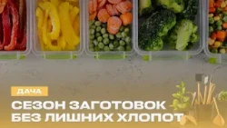 7 Gadgets That Will Save Your Harvest Without a Mountain of Dishes | Dacha