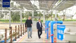 Китайская компания Tongwei параллельно развивает пищевой бизнес и производство солнечных панелей