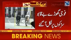 Military Horses Charge Down Streets - 4 Injured - 24 News HD