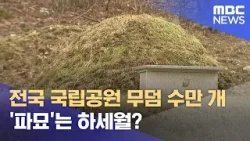 전국 국립공원 무덤 수만 개 '파묘'는 언제 (2024.03.28/뉴스데스크/대전MBC)