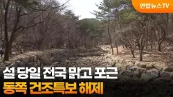 설 당일 전국 맑고 포근…동쪽 건조특보 해제 / 연합뉴스TV (YonhapnewsTV)