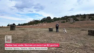 Pešter bez vode, Numan uz ovce i sa 82 godine